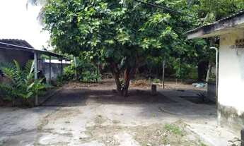 Imagem 5: Mini sítio na sotave