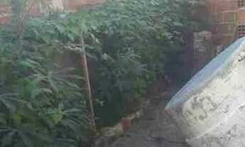 Imagem 5: Vendo casa em Mangabeira 8, no termjnal 514