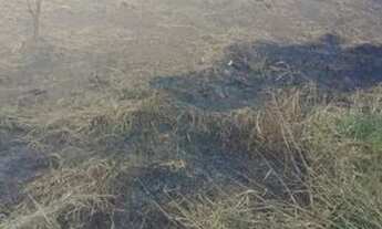 Imagem 2: Terreno pra venda ou troca