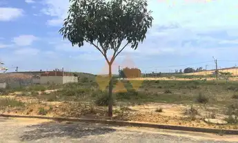 Imagem 3: Atlântico Norte