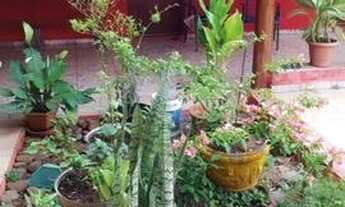 Imagem 3: Vendo rancho em Palmeiras