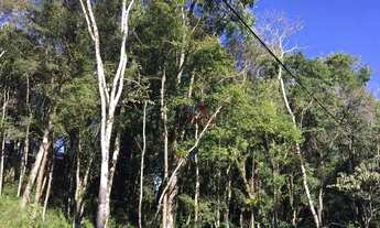 Imagem 4: Terreno no bairro Floresta em Gramado!