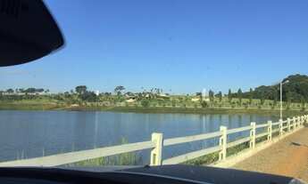 Imagem 7: Fazenda/Sítio Luxuoso a venda 53,24 hectares Munícipio de Turvânia/Go