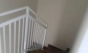 Imagem 7: GEMINADO GUARAMIRIM