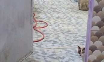 Imagem 2: Centro Dr. Lareano, linda casa 2 quartos sendo um com suite - total 120km2