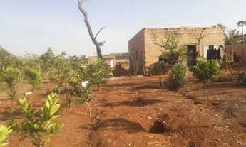 Imagem 2: Vendo Chácara Chácara com venda por R$250.000