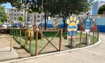 Imagem 3: Apartamento para aluguel tem 55 metros quadrados com 2 quartos em Serraria -