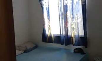 Imagem 3: Alugou casa no horto santa Maria (casa nova