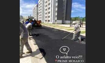 Imagem: TRANSFERÊNCIA PRIME MOSAICO