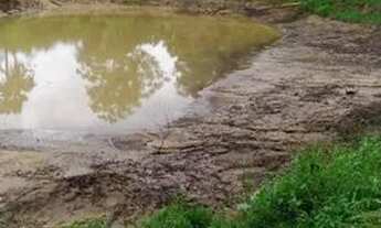 Imagem 3: Vendo fazendinha em Betim