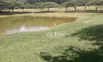 Imagem 6: Sítio à venda, 84700 m² por R$ 3.990.000,00 - Zona Rural - Nhandeara/SP