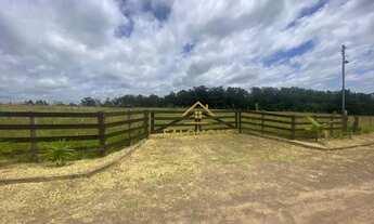 Imagem: Salomone vende área com 4 hectares dentro