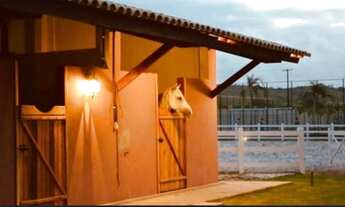 Imagem 2: Terreno haras Terreno / lote com venda por R$68.000