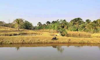 Imagem 2: Sítio 2,0 alqueires, muita água, entre Uberlândia e Monte Alegre