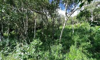 Imagem 3: Terreno de 1.494m² no João Paulo