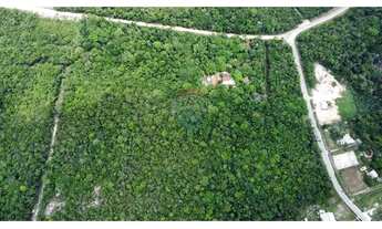 Imagem 4: Terreno à Venda Ramal Cláudio Mesquita (KM 3 da BR-174