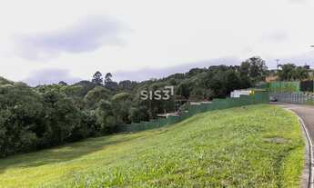 Imagem 4: Erreno à venda no Condomínio Gaia, Santa Felicidade 700 m², bosque, lazer completo e natu