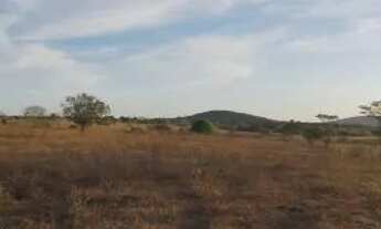 Imagem 5: 10 tarefas de terra