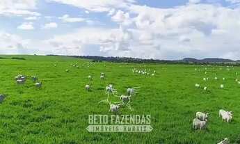 Imagem 2: Imóvel para venda com 110400000 metros quadrados em Zona Rural - Caiapônia - GO