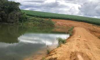 Imagem 6: Fazenda em perdizes M.G 204 hectares 22.000.000.00 ( w