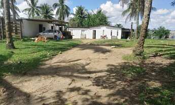 Imagem 2: Vendo fazenda pecuaria no municipio de jaguaripe