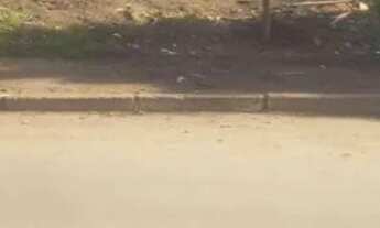 Imagem: VENDO TERRENO NA FLORESCENTE - VIAMAO