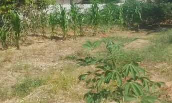 Imagem 3: Venda: Terreno No Bairro Jd. Majestic Na Reg. Leste De s.j.c