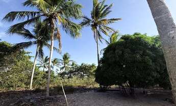 Imagem 6: Vendo sítio no interior de Japoatã - Se
