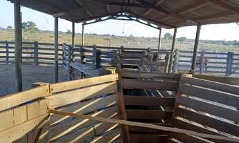 Imagem 4: Fazenda com 517 hectares na região entre a cidade de Nossa Senhora do Livramento