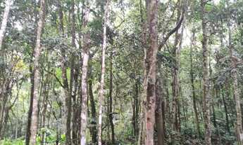 Imagem: Terreno por apenas 15 de entrada 40 de hum
