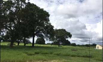 Imagem 4: FAZENDA À VENDA EM POCONE MT 39.368 HECTARES (PECUÁRIA