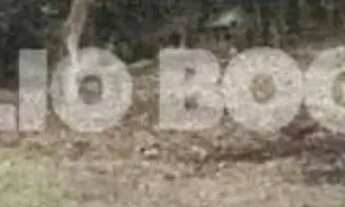 Imagem 4: Vargem grande estr.rio morto terreno linear 1005m2