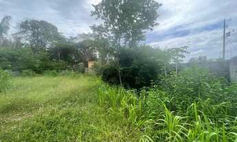 Imagem 5: Lote/Terreno para venda possui 500 metros quadrados em Cacau Pirera - Iranduba - AM