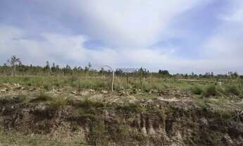 Imagem 3: Terreno à venda Parque Fragata Capão do Leão/RS