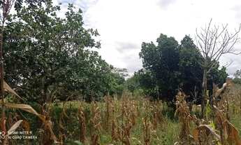 Imagem 5: CHÁCARA NA MATINHA - 1,5 TAREFAS