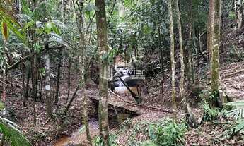 Imagem 3: Sítio Escriturado com 24.000 m², Casa Nova, Cachoeiras e Platôs - Alfredo Chaves/ES