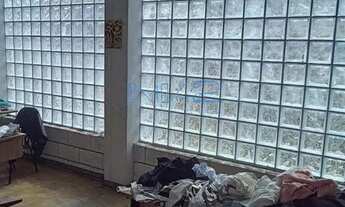 Imagem 7: Galpão / Barracão à venda, Parque Peruche, São Paulo, SP