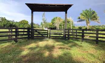 Imagem: Vende-se Fazenda - Iracema - RR