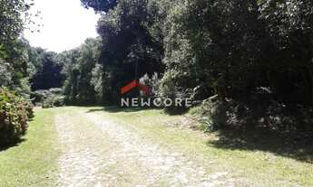 Imagem 3: Lote em Rua Jasmim - Colinas - São Francisco de Paula/RS