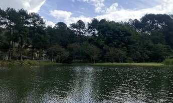 Imagem 7: Lote em Rua Madeira - Granja Carneiro Viana - Cotia/SP