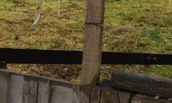 Imagem 3: Terreno aceita financiamento pela caixa