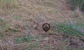 Imagem: Terreno à venda, 250 m² por R$ 50.000,00