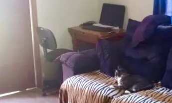 Imagem 4: Casa com 4 quartos 1suite cozinha e closet planejado