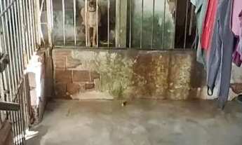 Imagem 5: Casa à venda em rua pública, OURO PRETO, Olinda, PE