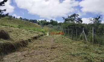 Imagem: Terreno à venda, 1371 m² por R$ 200.000,00