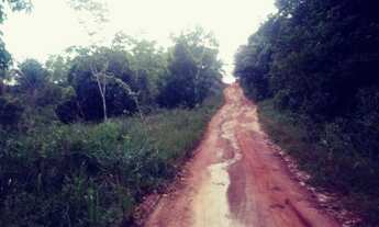 Imagem 7: Vendo roça de 18 hectare Barato para Vende logo