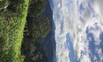 Imagem 5: Atenção Investidor !!