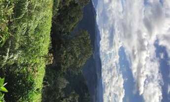 Imagem 3: Atenção Investidor !!