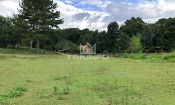 Imagem 4: Sítio em Canastra !!