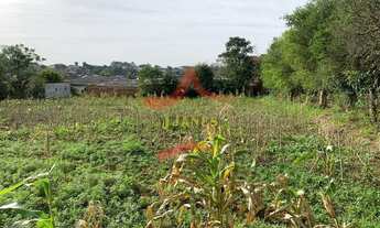 Imagem 3: VIAMãO - Terreno Padrão - São Tomé
